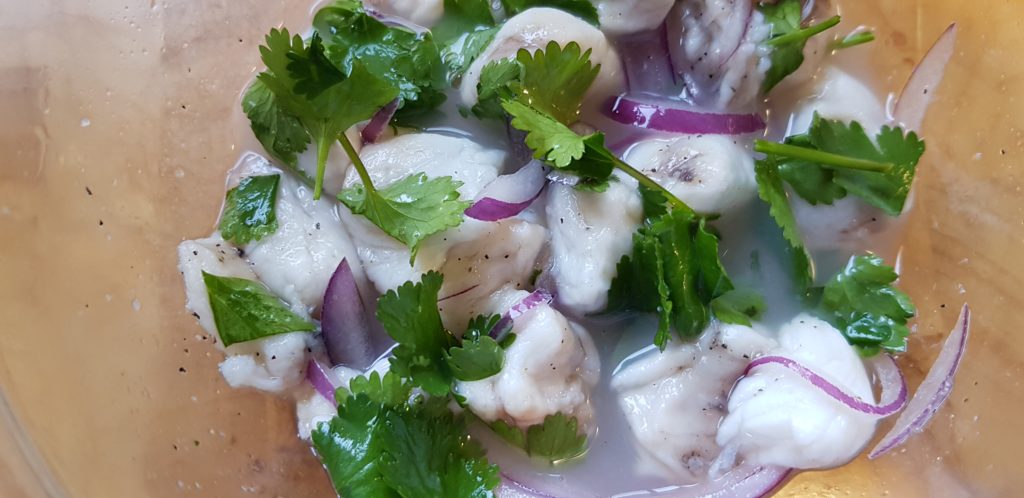 Ceviche de rape