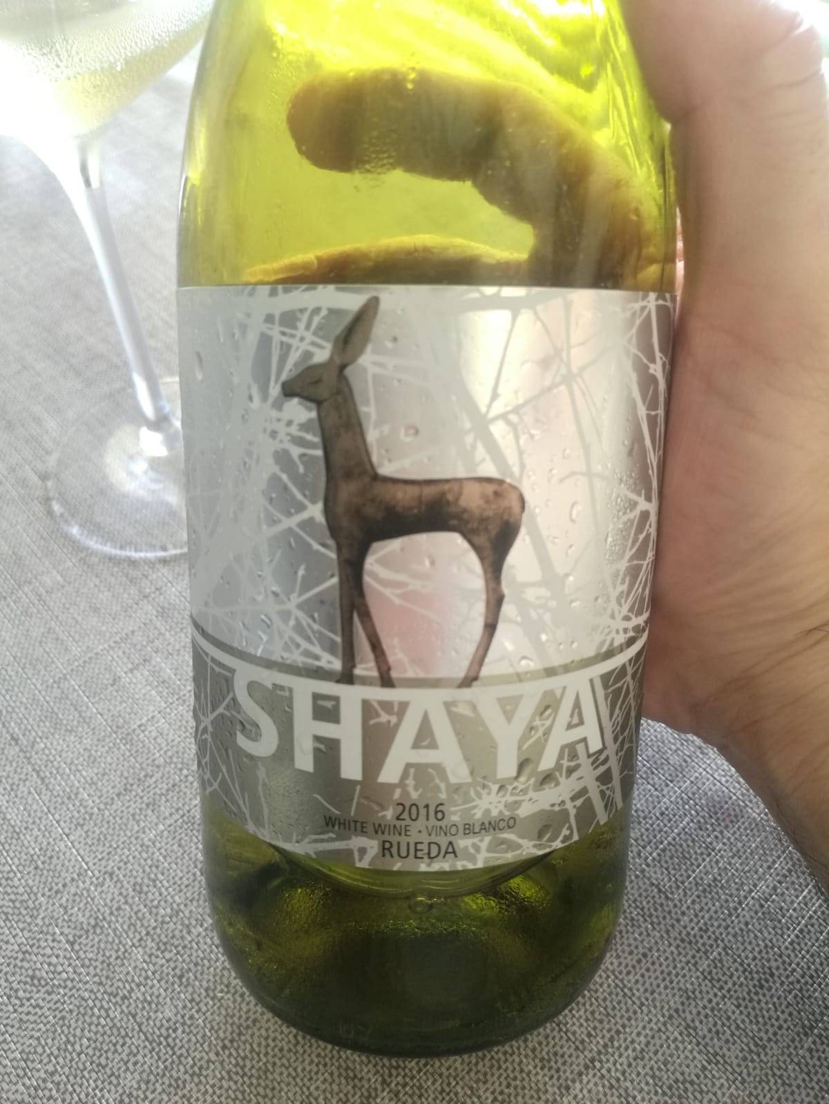 SHAYA 2016. LOS VINOS DE OTILIO.