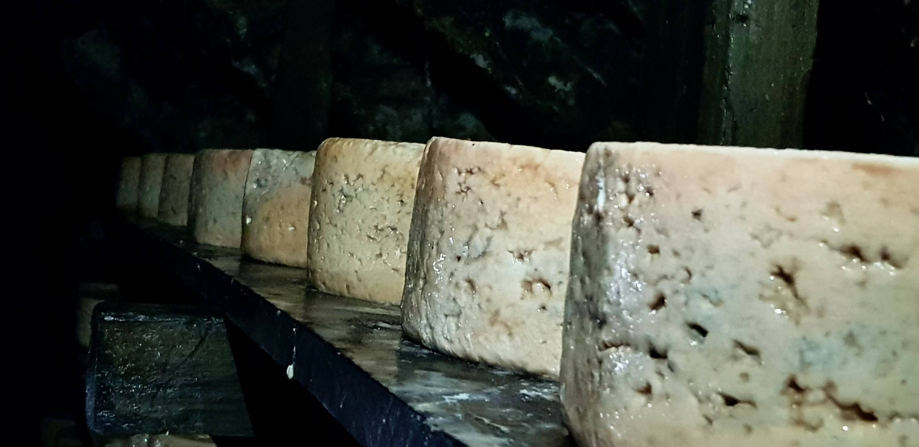 QUESO CABRALES EL TEYEDU. DESDE LO MÁS PROFUNDO DE PEPE BADA.