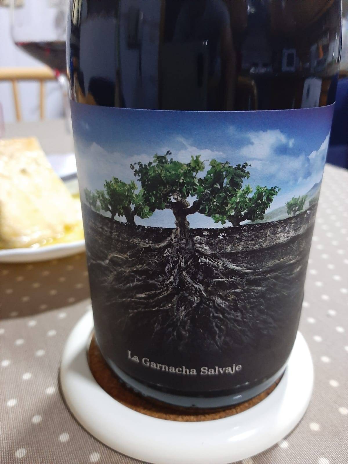 LA GARNACHA SALVAJE DEL MONCAYO 2017. LOS VINOS DE OTILIO.