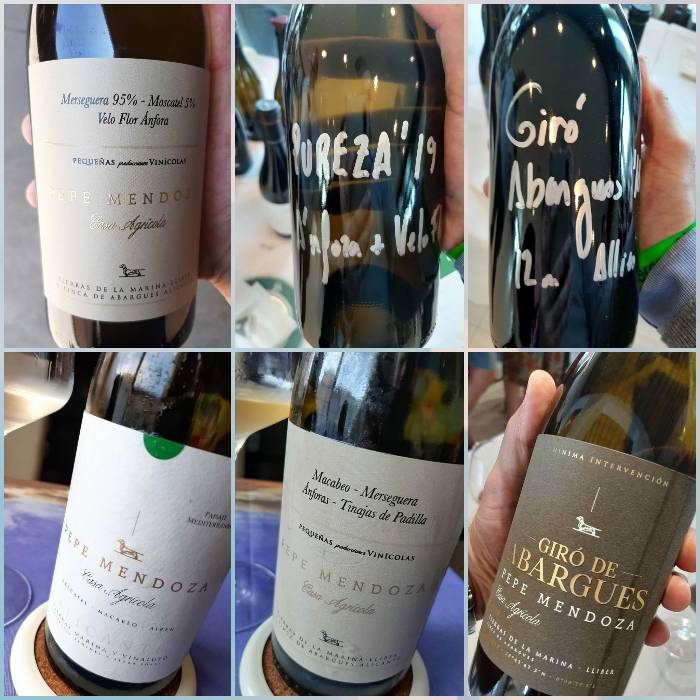 LA PUREZA DE PEPE MENDOZA. LOS VINOS DE OTILIO.