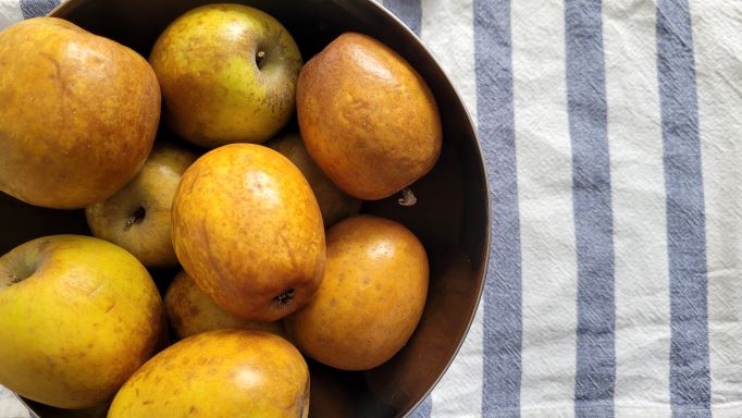 MERMELADA DE MANZANA PERELLÓ. LA MANZANA DE LA VALL D´EBO.