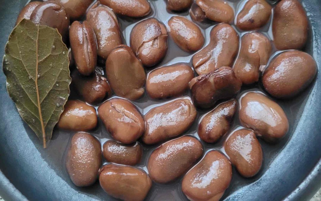 HABAS COCIDAS. LAS DE TODA LA VIDA